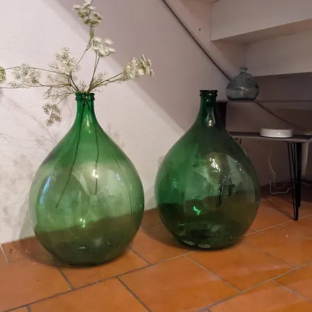 Maison Vigneronne - Charming Retreat In Nizas (Herault)